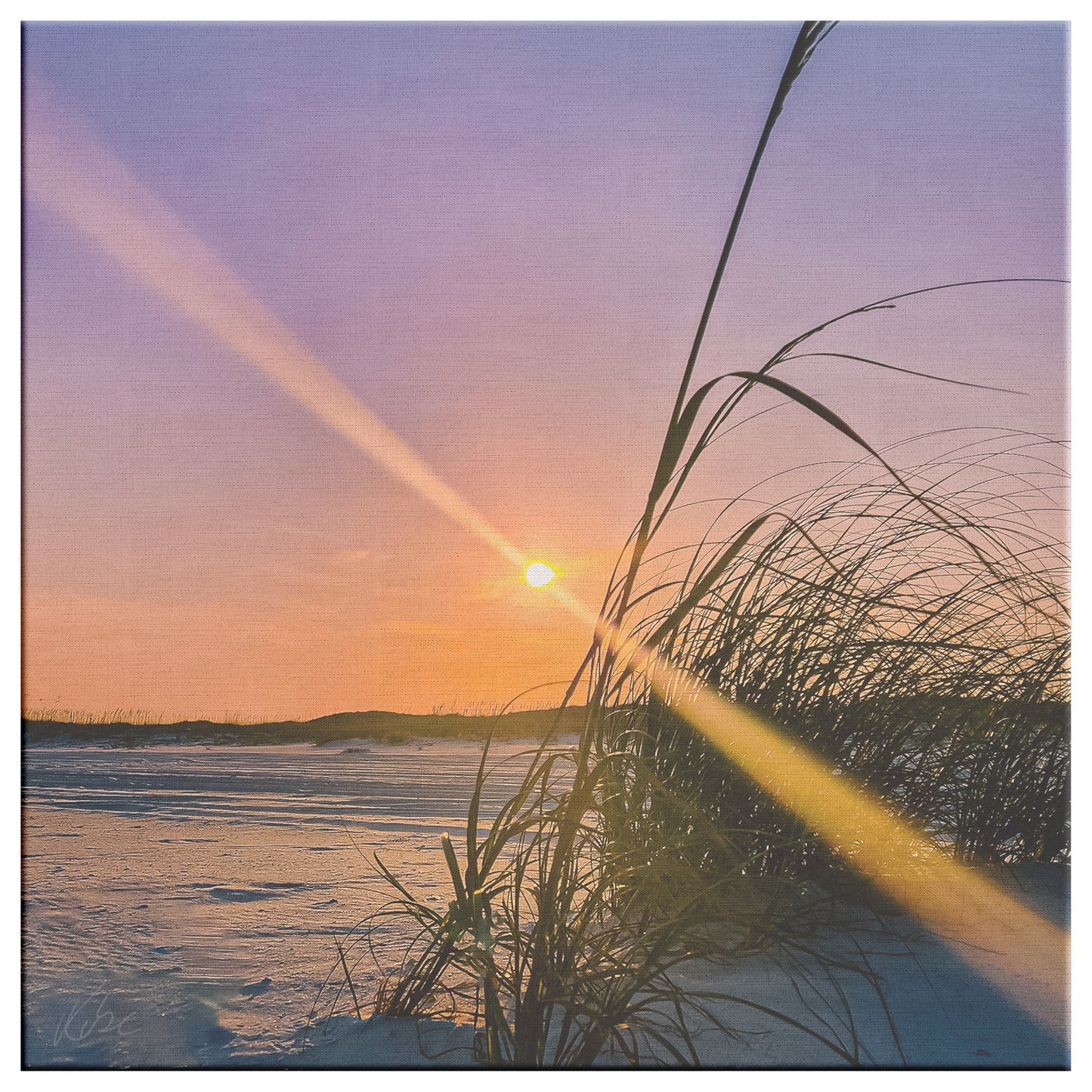 Gulf Shores Dune - Canvas Photo Wrap