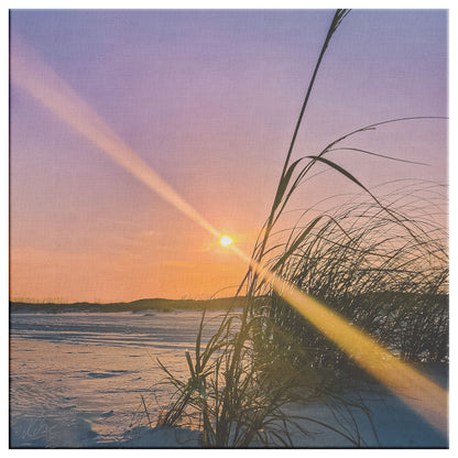 Gulf Shores Dune - Canvas Photo Wrap