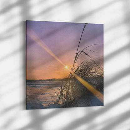 Gulf Shores Dune - Canvas Photo Wrap