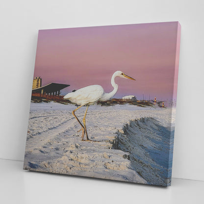 Gulf Shores Heron - Canvas Photo Wrap