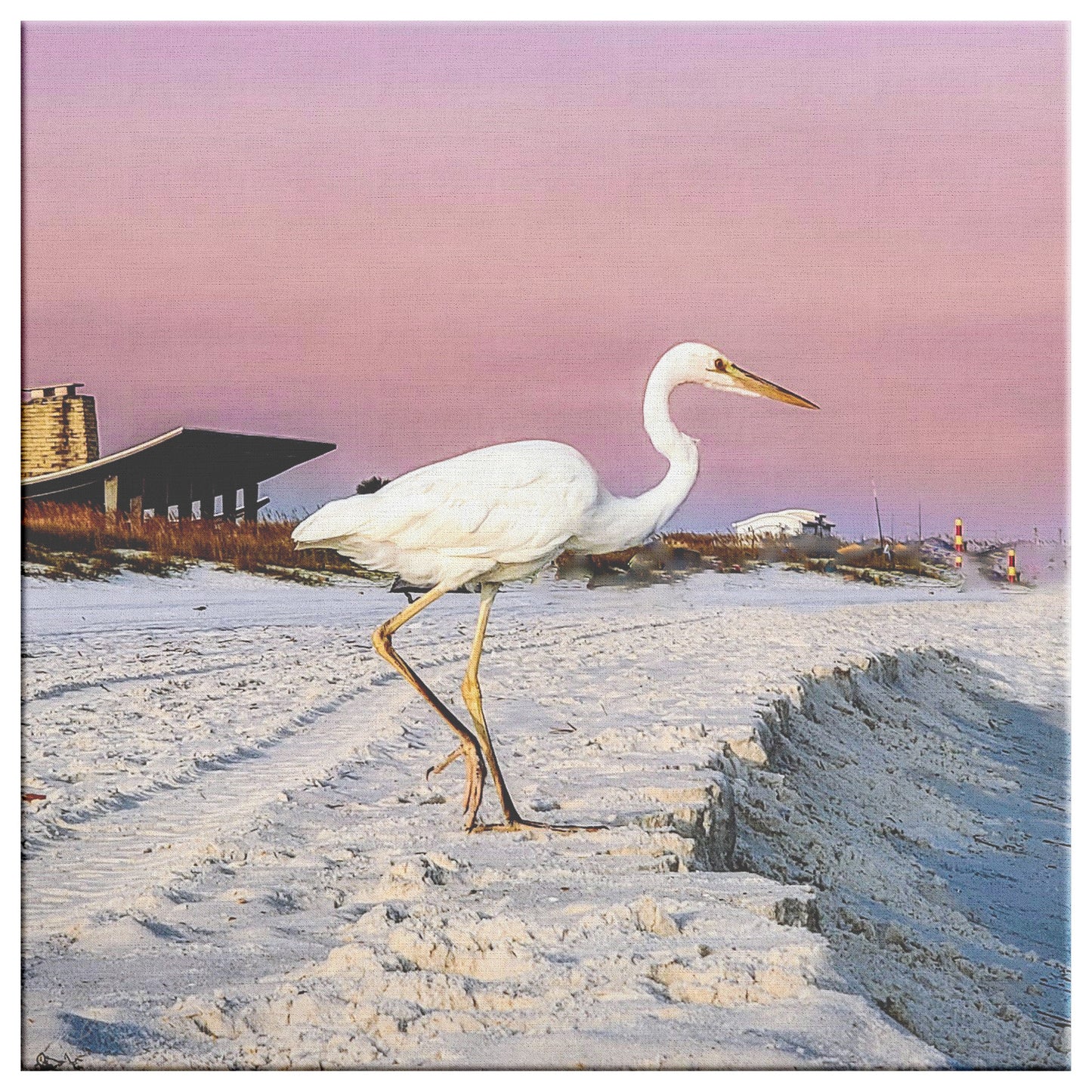 Gulf Shores Heron - Canvas Photo Wrap