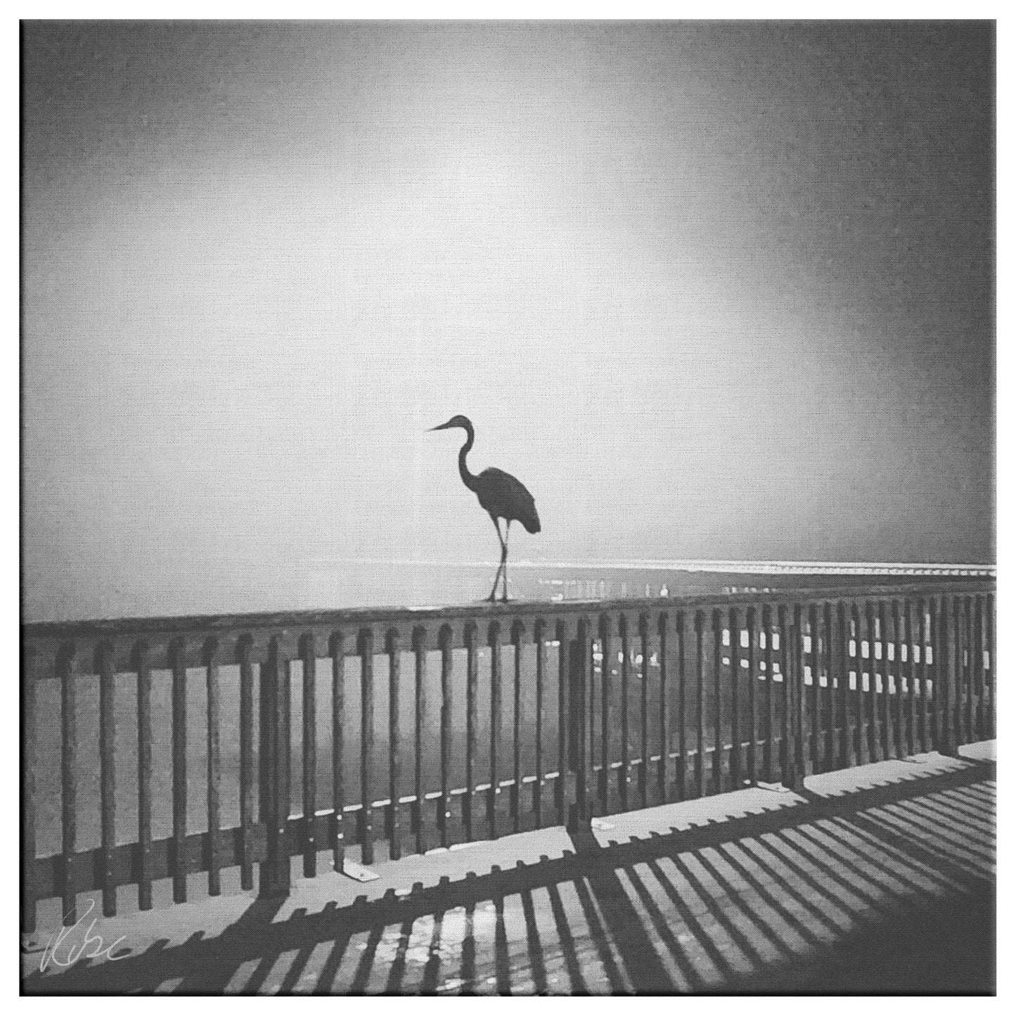 Heron at Night - Canvas Photo Wrap