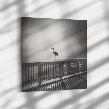 Heron at Night - Canvas Photo Wrap