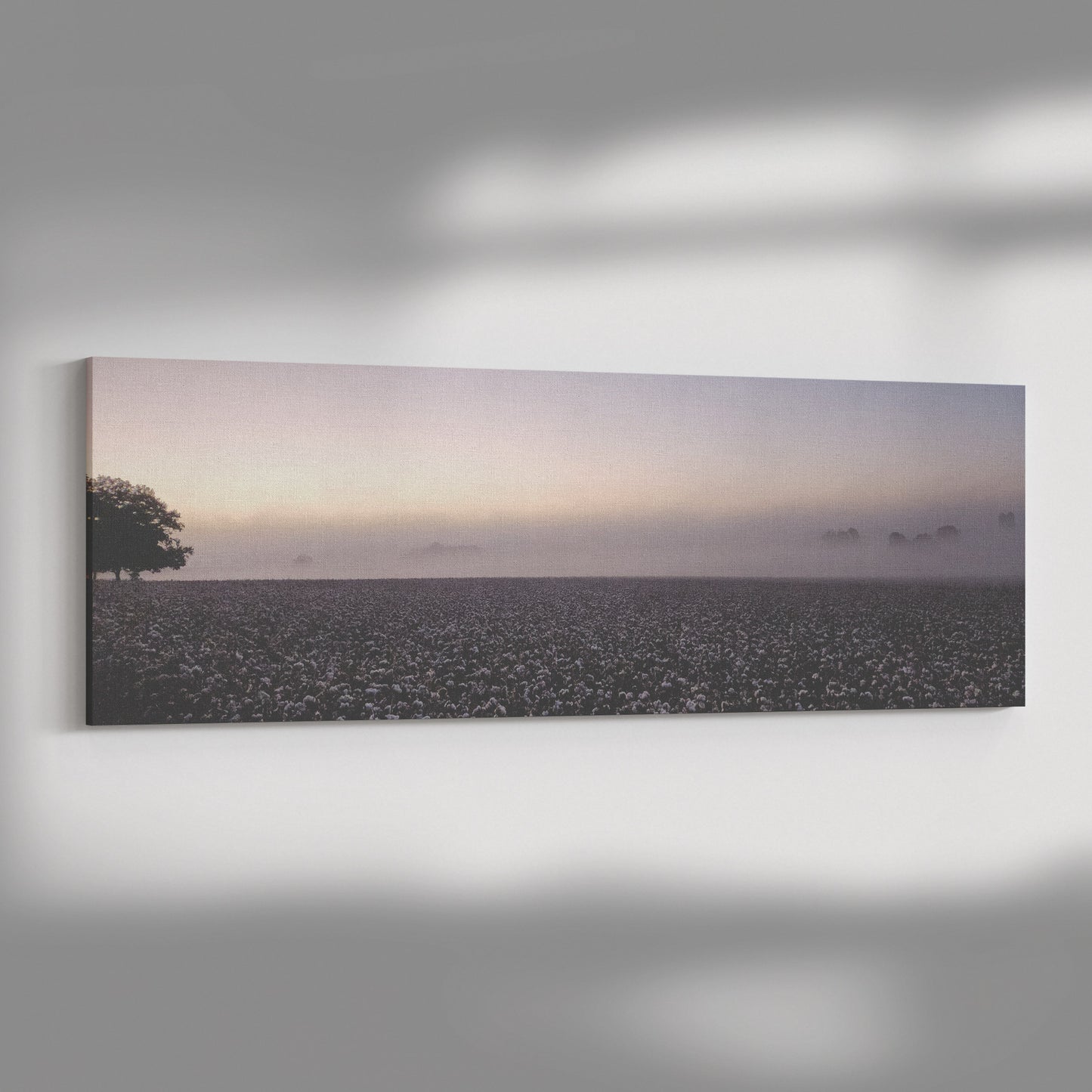 Old Battles Fairhope Cotton Field - Panorama Canvas Photo Wrap