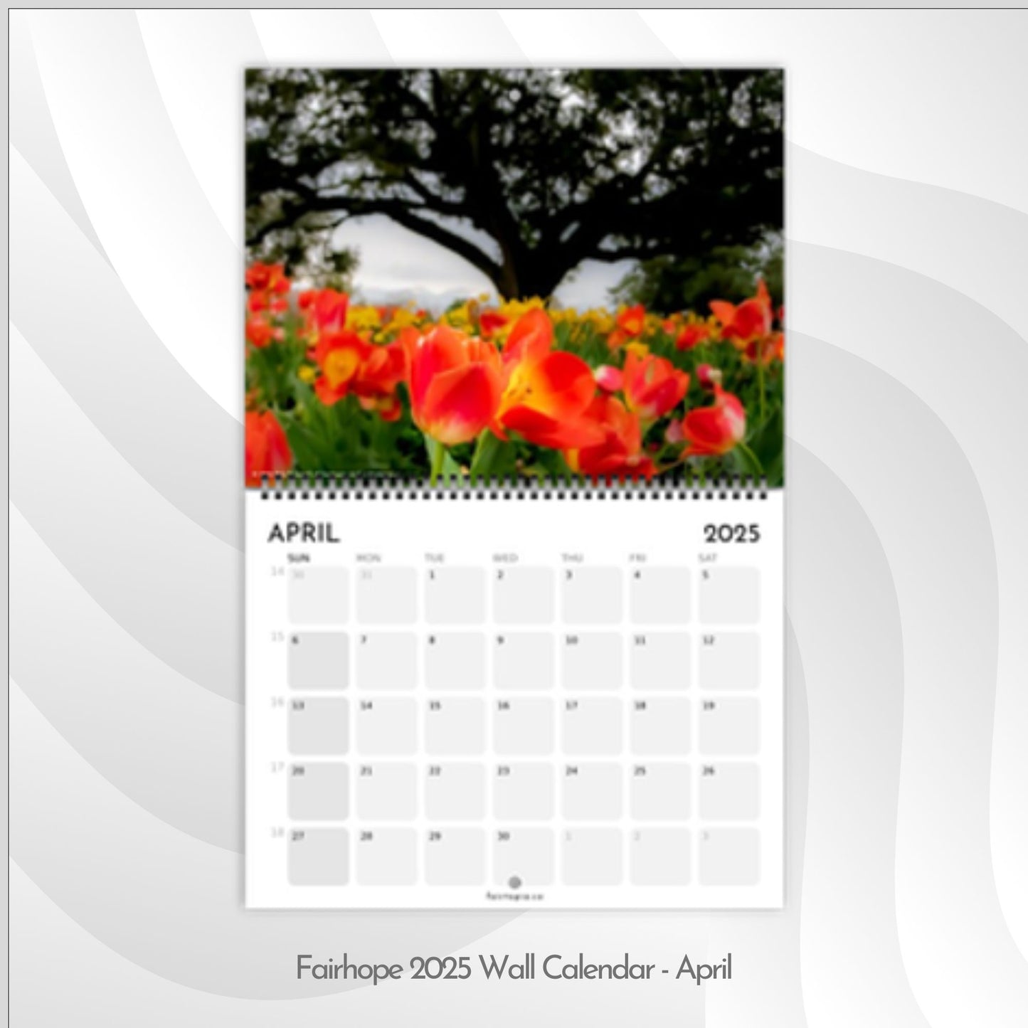 Fairhope 2025 Wall Calendar - 12 Month Coastal Nature Photography Collection