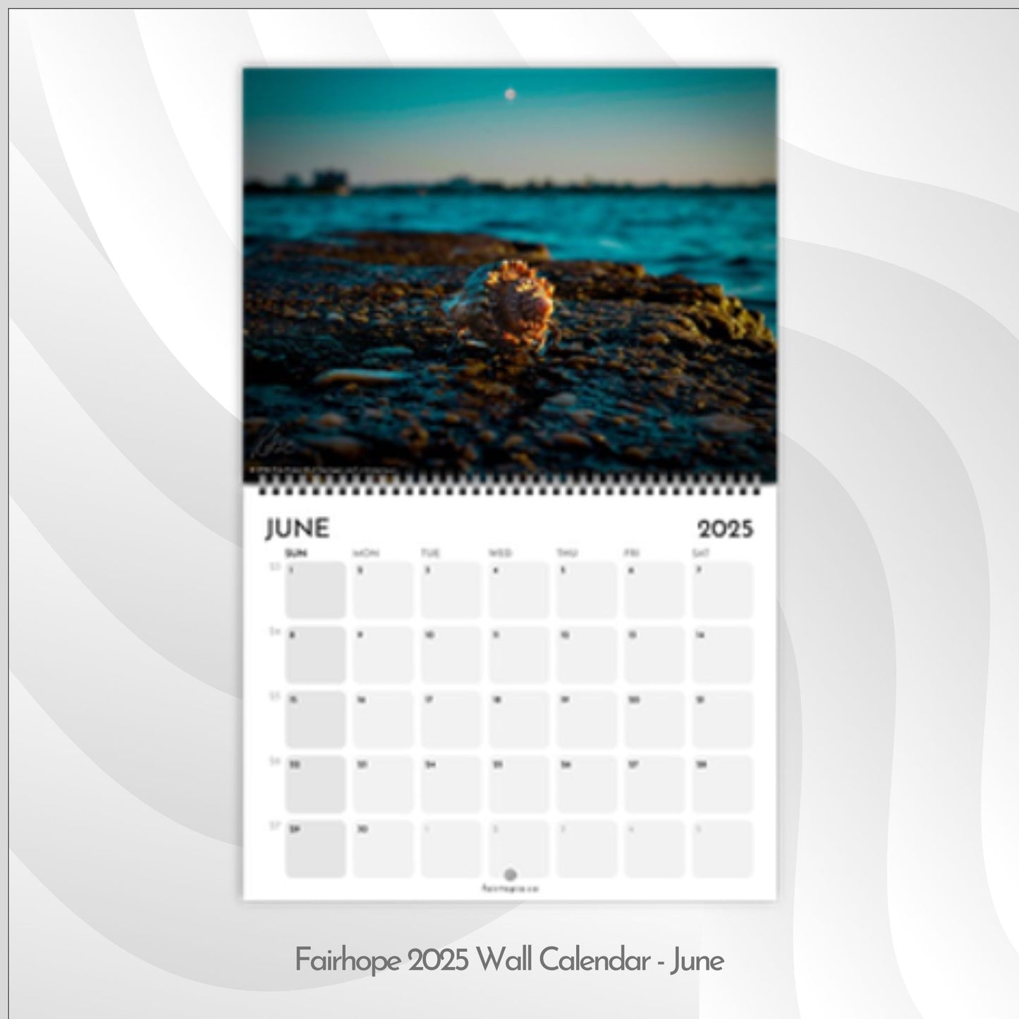 Fairhope 2025 Wall Calendar - 12 Month Coastal Nature Photography Collection